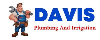 Trusted plumber in REMUS